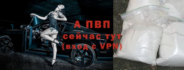 дмт Богородицк
