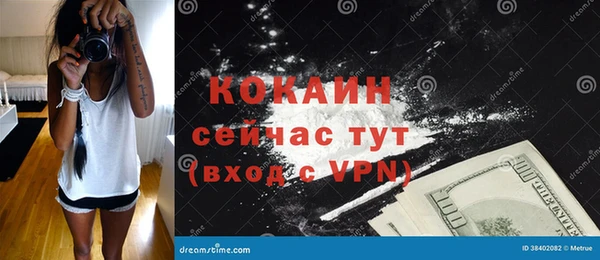 дмт Богородицк
